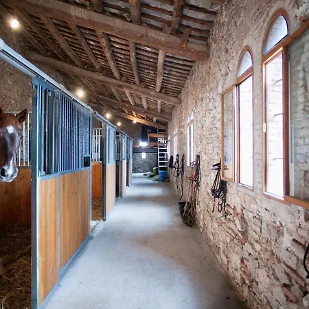 Bed & Breakfast Borrell Carmen Castellar Del Valles