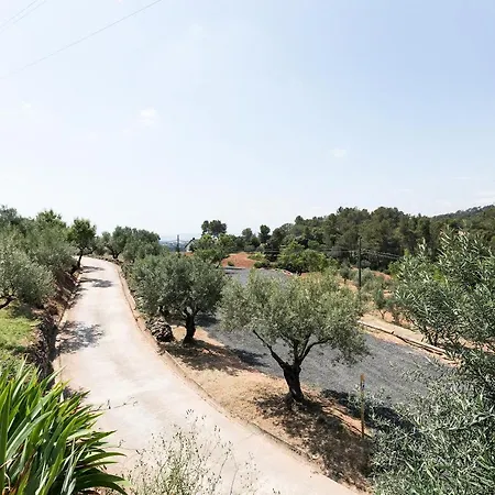 Bed & Breakfast Borrell Castellar Del Valles