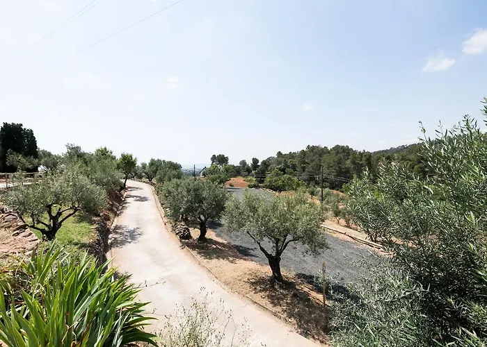 Bed & Breakfast Borrell Castellar Del Valles
